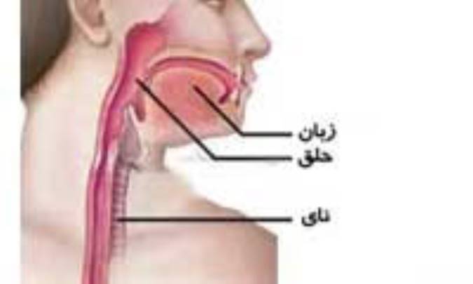 در مري چه خبر است؟