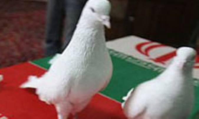 مردي از سرزمين آشنايي