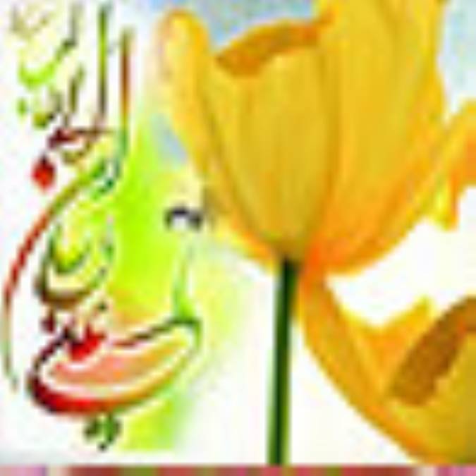 شبهاي علي(ع)