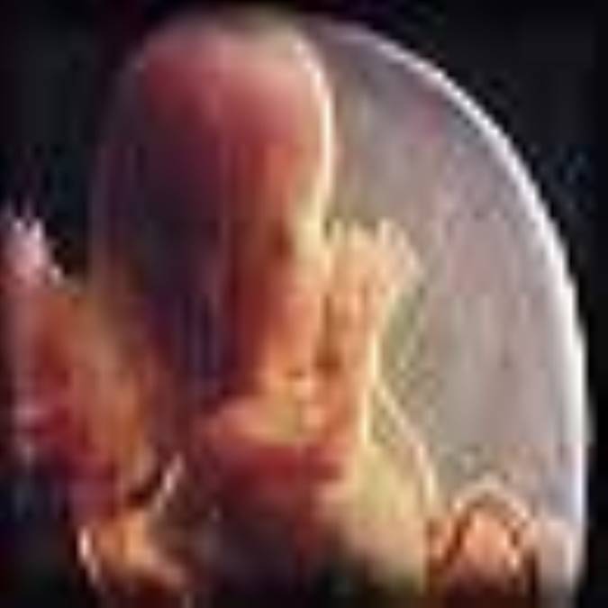 تربيت قبل ازتولد