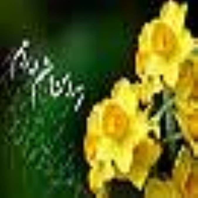 قبیله ی عشق