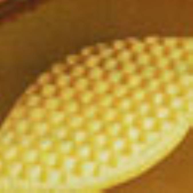 نان قندي