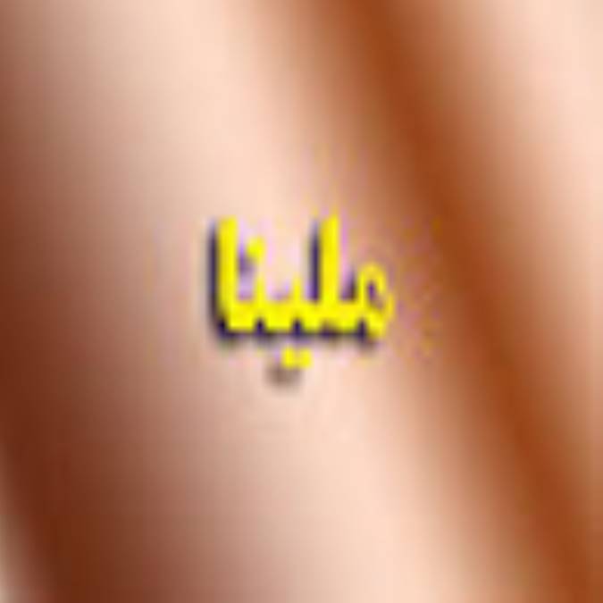 فصلنامه ملينا