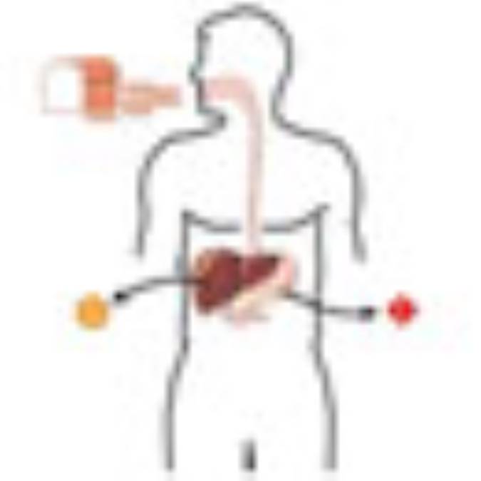 ديابتي‌ها و تعطيلات عيد
