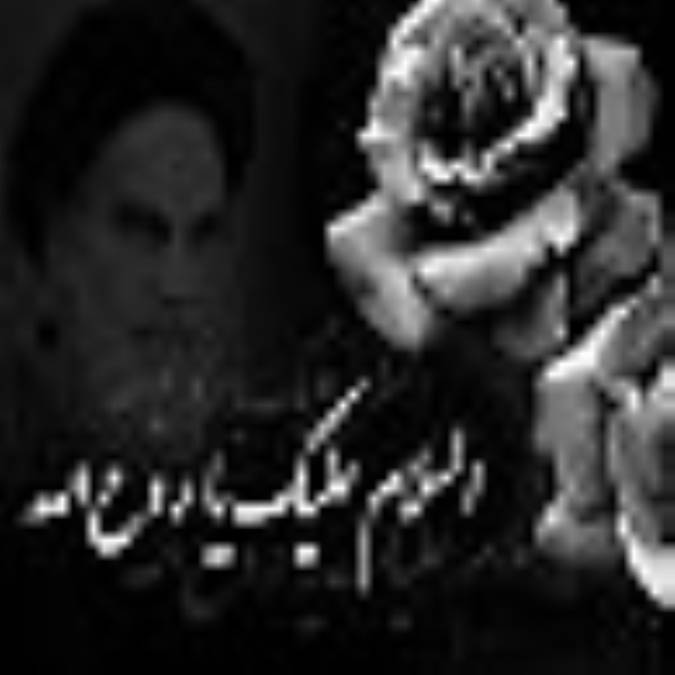 کیفیت زیارت امام (ره)