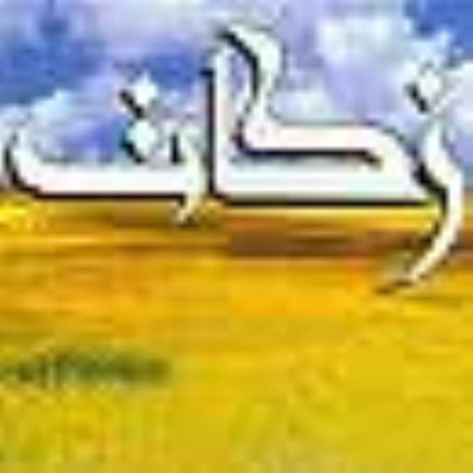 دومين زير بناى اقتصادى اسلام(1)
