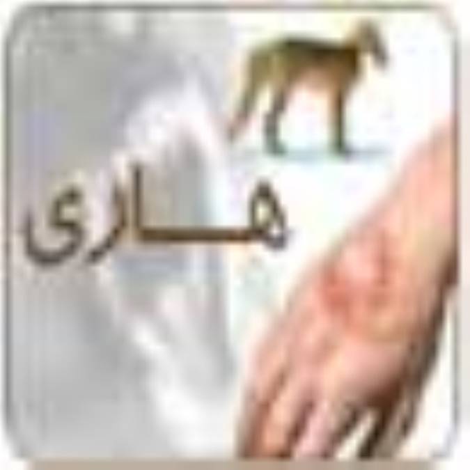 هاري