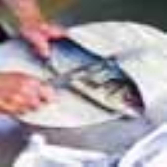 طبخ ماهي به روش جنوبي ها