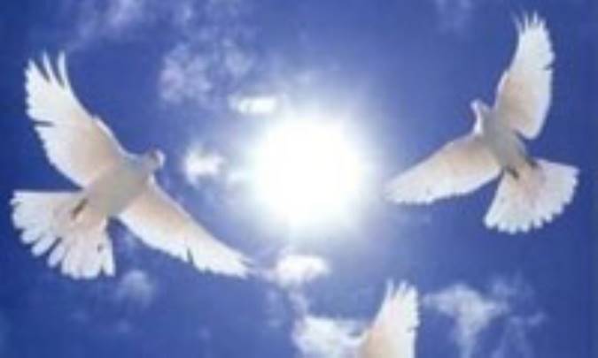 حکایاتی زیبا از عنايات و توجهات اهل بيت عليهم السلام(3)