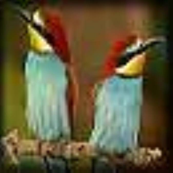 رابطه اي که بريده شد