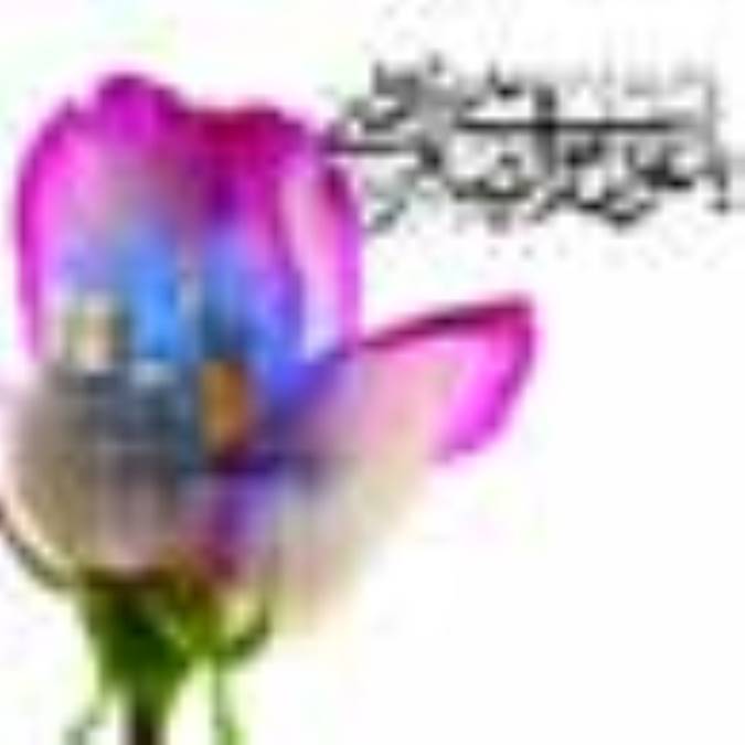 كتاب شناسى امام رضا (ع) (5)