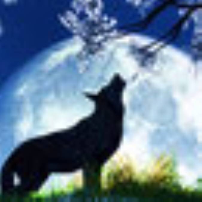 بیان معناى صدای حیوانات توسط امام حسین (ع) ‏