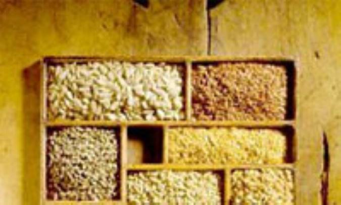 ريزه هاي پرخاصيت