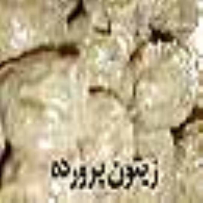زيتون پرورده 