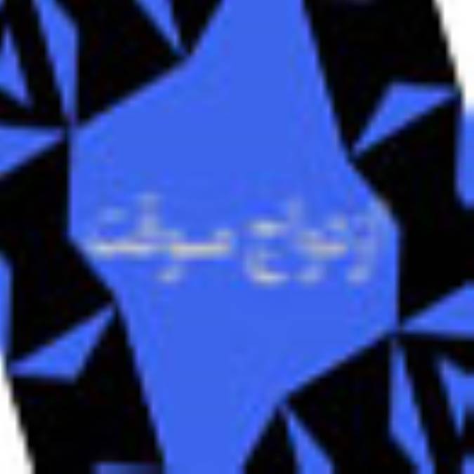 ازدواج موقت (2)