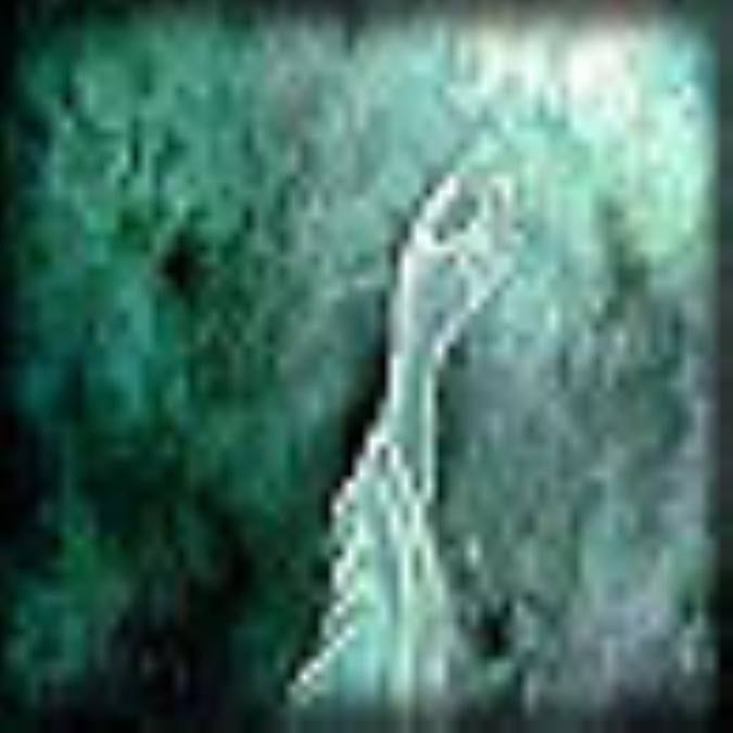 ترجمه و شرح: (اذ کان هو المنذر و لکل قوم هاد)