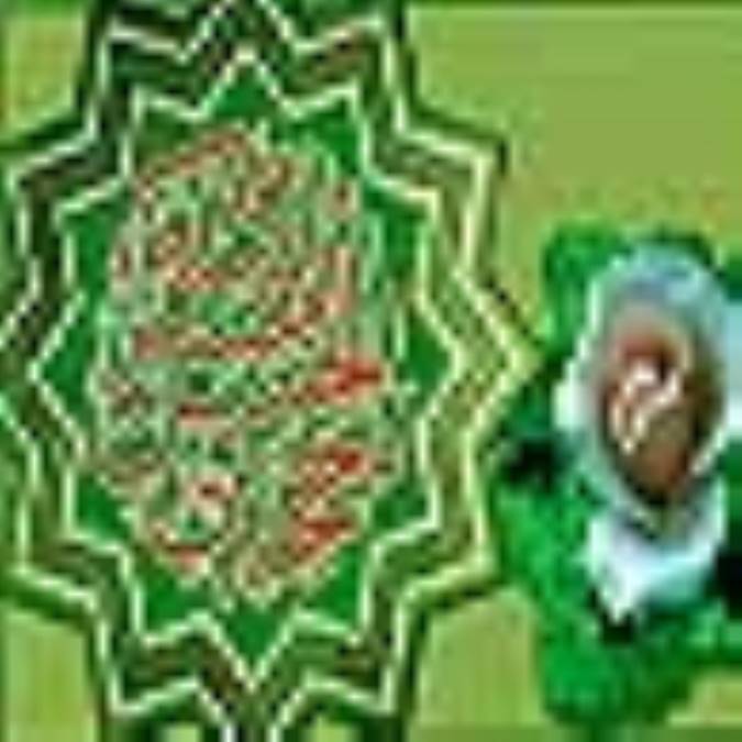 کسي که تعداد گنجشک هاي جهان را مي داند