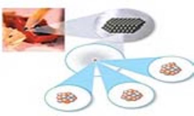 باز ترکیب دو الکترونی