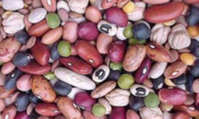 غذاهای دیرهضم و زود هضم