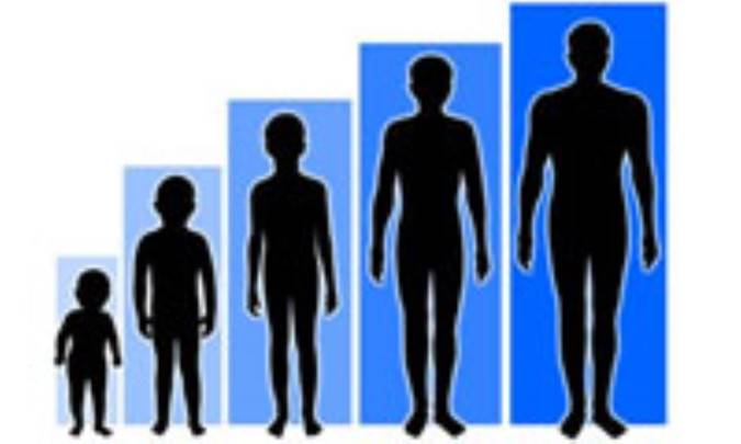 اصول و عوامل مؤثر رشد