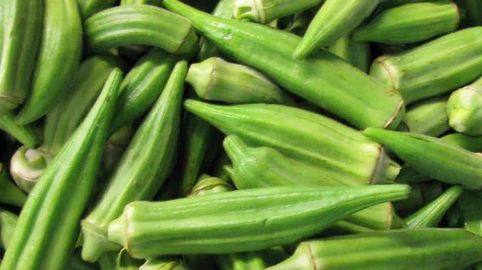 خواص دارویی بامیه