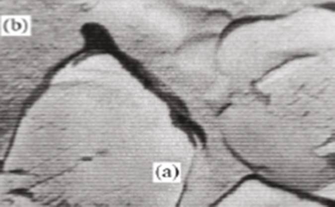خواص دانه ها