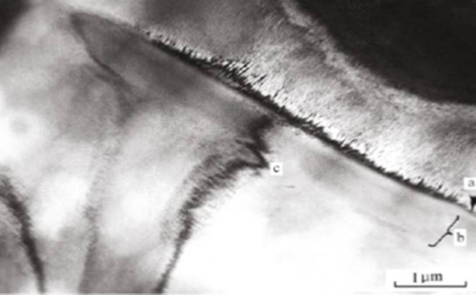 مرزدانه ها در سرامیک های PLZT