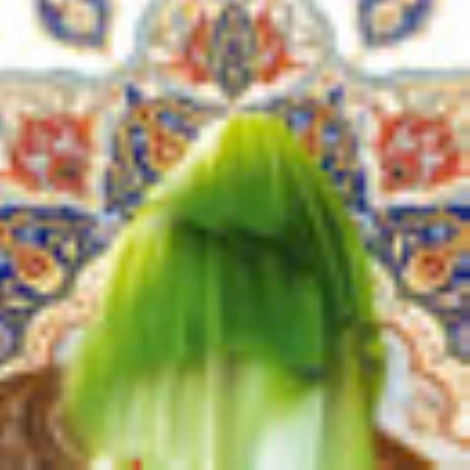وضوي علي (عليه السلام)