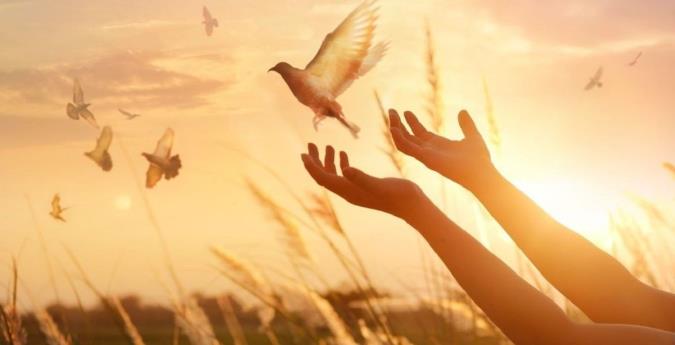 توبه از نگاه قرآن