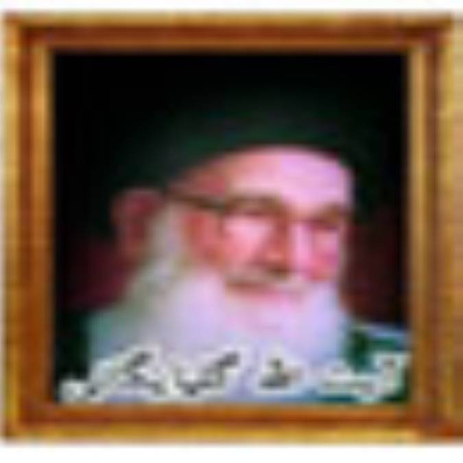 آیت الله گلپایگانی (ره) از زبان دیگران