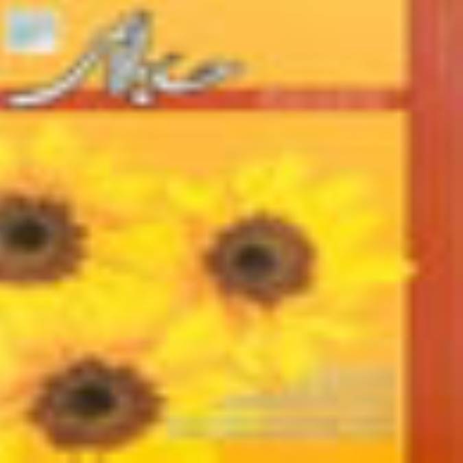 فصلنامه حسابدار رسمي