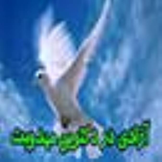 آزادي در دکترين مهدويت