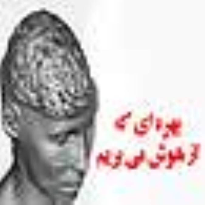 بهره ای كه از هوش می بریم