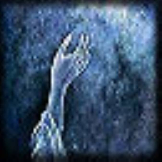 رايات سود (3 )
