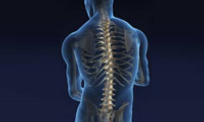 کيف ما را سبک کنيد، آقا!