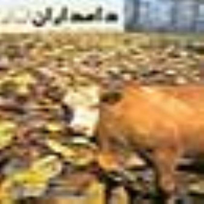 ماهنامه دامداران ايران