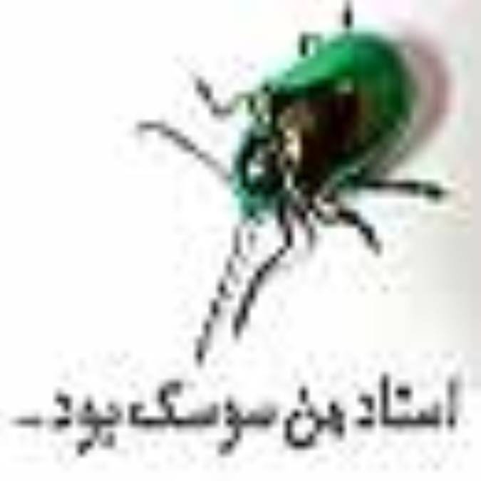 استاد من سوسک بود