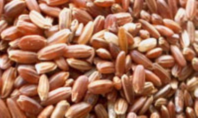 ديابتي‌ها برنج قهوه‌اي بخورند