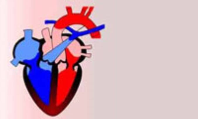 بازتواني قلب