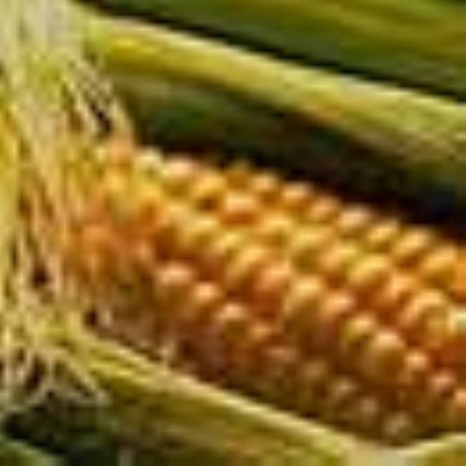 بلالي با طعمهاي مختلف