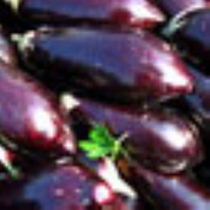 بادمجان فنري تند