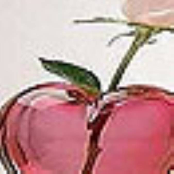 هنر گفت و گو با همسر