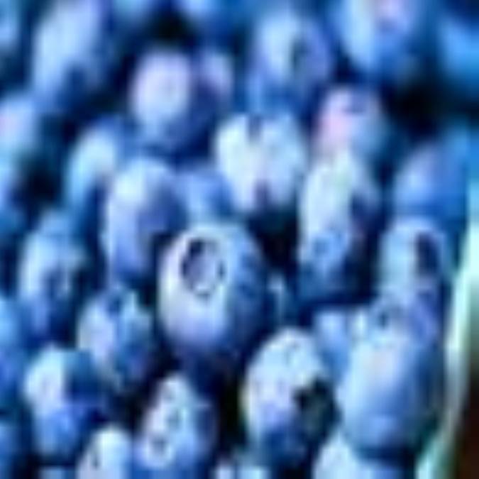 مواد خوراکی مفید برای بدن شما