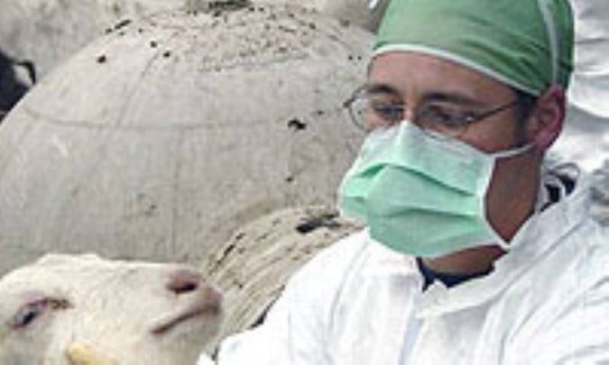 بیماری تب مالت 