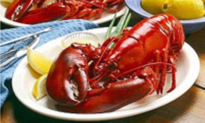 گوشت خرچنگ؛ حرام است ؟