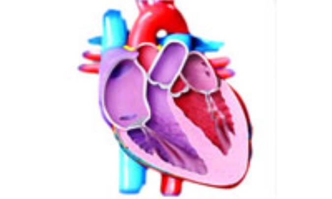 عوامل خطر بيماري‌هاي عروق قلب