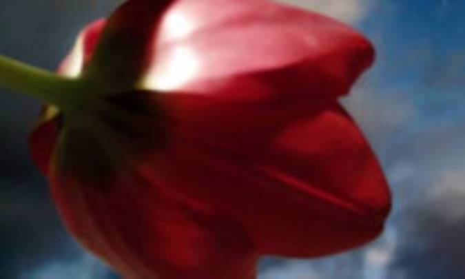 خانه و خانواده و آراستگي ظاهري همسران براي يكديگر