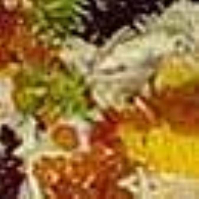 پلوي قالبي فرانسوي
