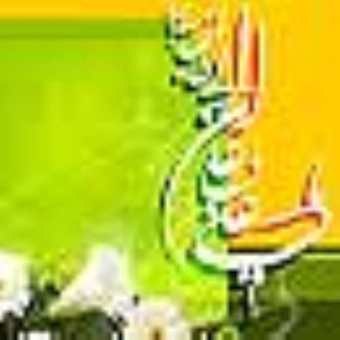 یا علی تو بارانی 