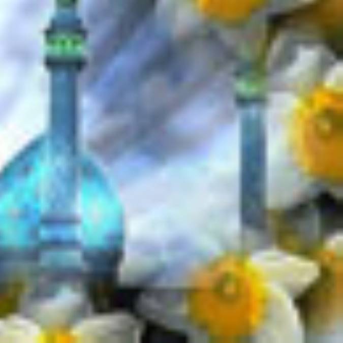 آخرین منجی (8)